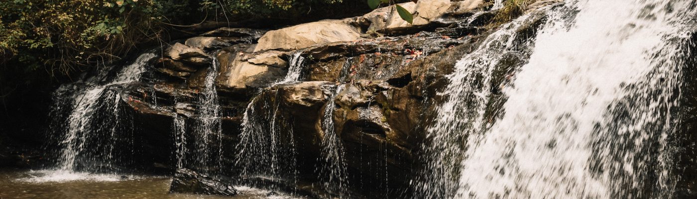 Little Falls Labradors